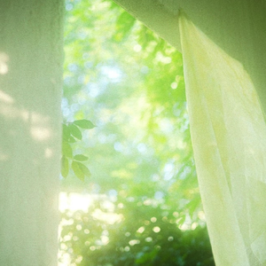 全是肉的高H文〈丧尸危机〉
